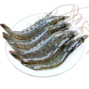 东上御品气冻虾特大青岛大虾速冻液氮冷冻基围海虾白虾批发海鲜