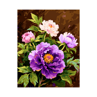 数字油画diy填色手工填充手绘丙烯涂色客厅花卉霓裳牡丹画画油彩