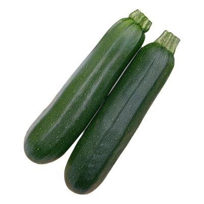 农科院抗病产量高易种西葫芦种子