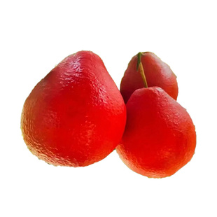 柚子树苖冰糖红心蜜柚子树苗地栽嫁接四季耐寒水果树苗南北方种植