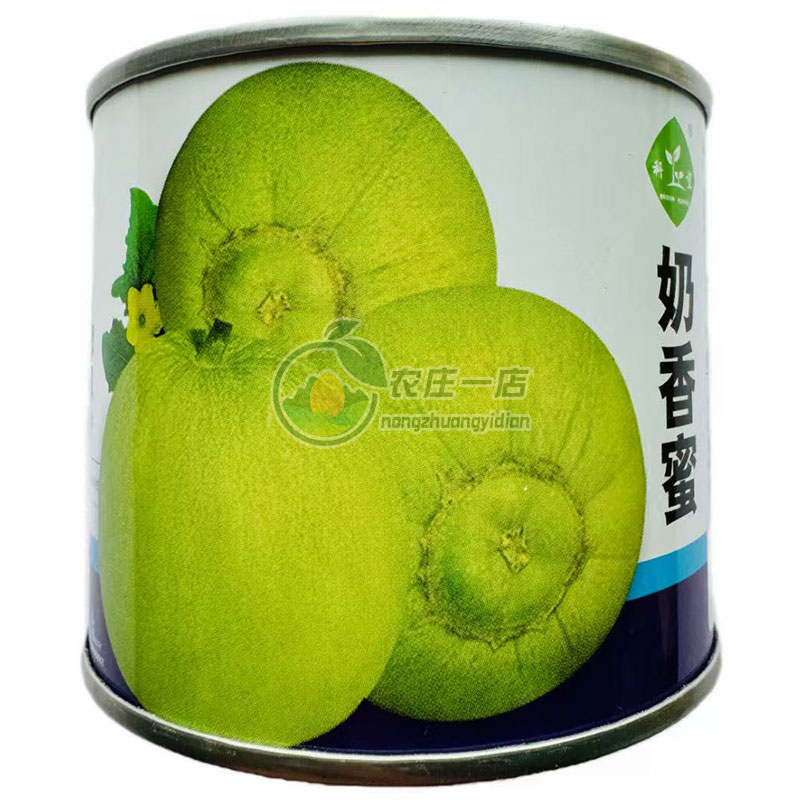 薄皮高糖甜如蜜绿黄皮甜瓜种子籽