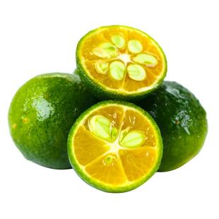 海南金桔小青柠小金桔新鲜小金橘小青桔水果青柠鲜果柠檬奶茶专用
