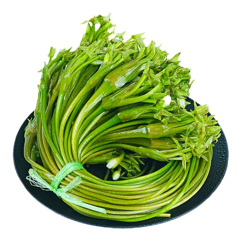 当季蔬菜水性杨花大理洱海海菜