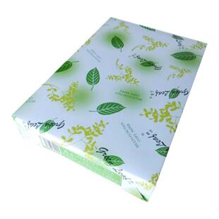 绿叶a4纸皓天纸厂80克a4打印纸A4复印纸500张/包70G5000张办公用纸空白纸政采品牌整箱包邮