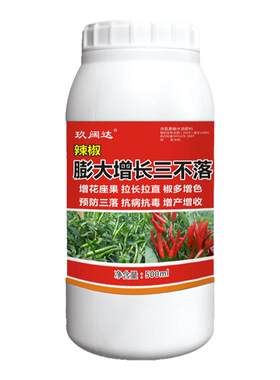辣椒拉直膨大素专用肥料三不落