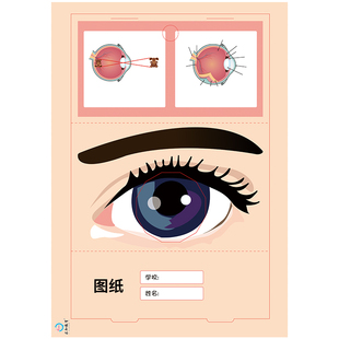 求知教育科学实验眼睛模型拼图玩具 DIY手工益智早教玩具人体秘密