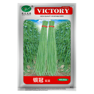 架豆王四季豆种子压塌架豆角种籽农家大棚春秋四季种植蔬菜种孑