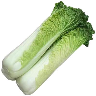 云南高山青麻叶白菜青口白菜