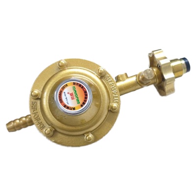 国标防爆液化气减压阀热水器