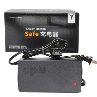 玉骑铃电动车充电器48V60V72V80V84V96V108V20DS原装两孔新公插头