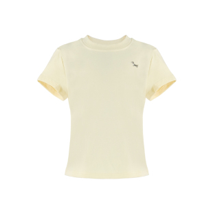 aaaaxbbb my doggo 小狗牌牌多色棉t恤短款修身辣妹可爱新款短袖