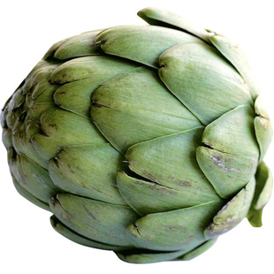 美国绿朝鲜蓟种子法国洋百合菜四季秋冬季盆栽孑不常见的蔬菜种籽