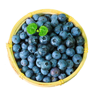 新鲜蓝莓鲜果大果 花香纯国产孕妇宝宝水果天然丹东篮梅蓝梅4盒