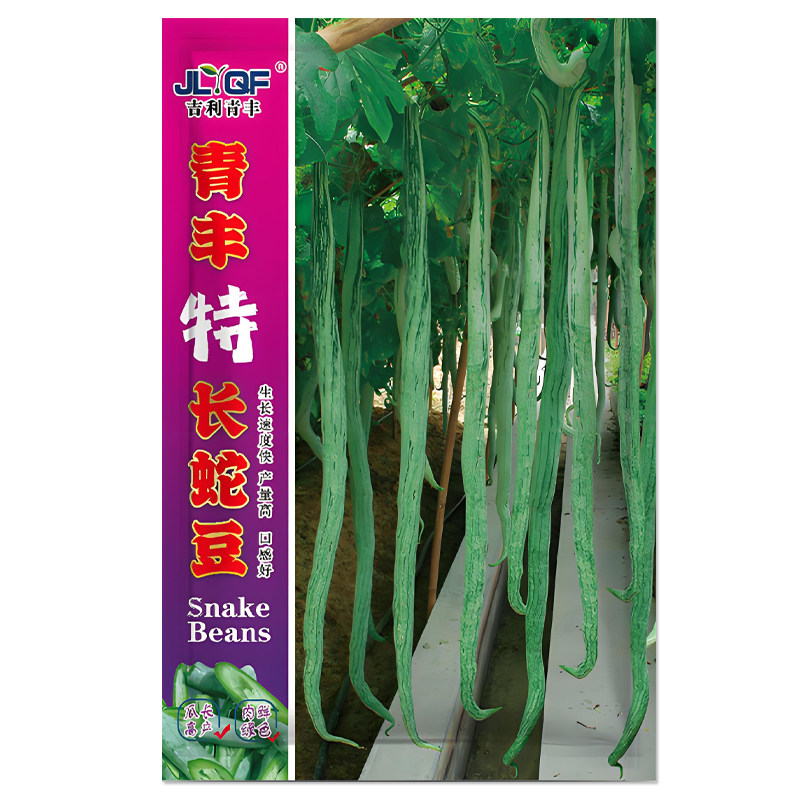 蛇豆种子蛇瓜种子观赏食用