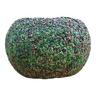 安溪铁观音茶叶秋茶兰花香高山500g冰茶 湿茶 鲜茶带梗浓香型茶叶