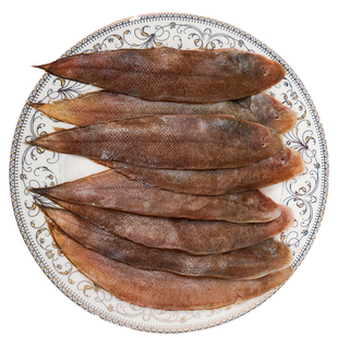 鞋底鱼小杂鱼渤海湾比目鱼塔墨鱼踏板鱼绥中东戴河海鲜特产龙利鱼