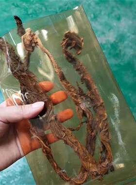 贵州新款加厚烟袋塑料烟袋叶烟袋子塑料叶子烟袋子老式烟袋子
