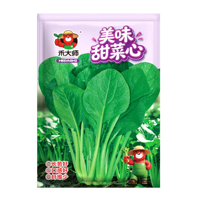 广府美味甜菜心种子当季新种耐热耐湿蔬菜种籽阳台盆栽小院种植