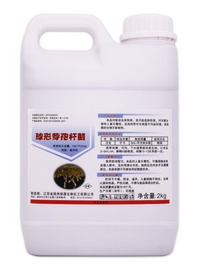 虫卵双杀除蚊子幼虫基孔肯雅热