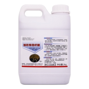 球形芽孢杆菌水体灭蚊液 虫卵双杀除蚊子幼虫 水池鱼池池塘下水道