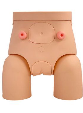 蓝蝶模型高级男女性导尿灌肠训练