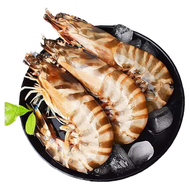 超大竹节虾7-8只/斤!24厘米一只