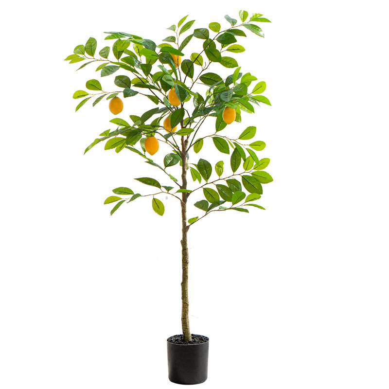 柠檬树ins风网红装饰花绿植盆栽
