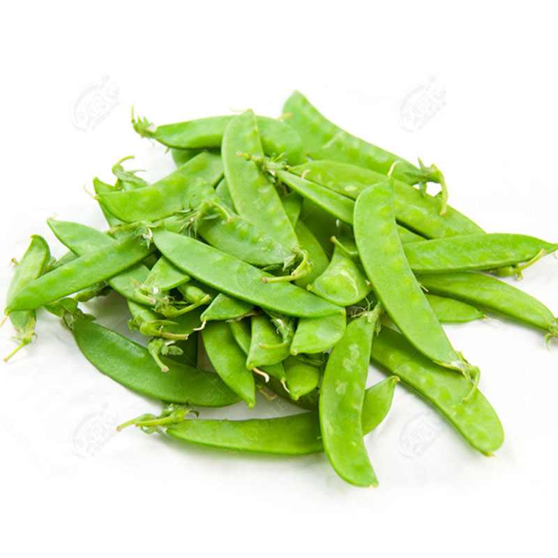 【荷兰豆种子】大荚型 好种 高产春秋菜豆青豆籽四季荚豌豆春季播
