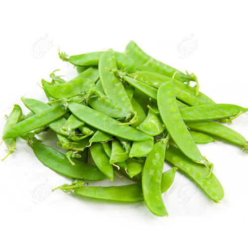 【荷兰豆种子】大荚型 好种 高产春秋菜豆青豆籽四季荚豌豆春季播