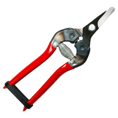 爱丽斯ars翘头摘果剪剪水果剪刀