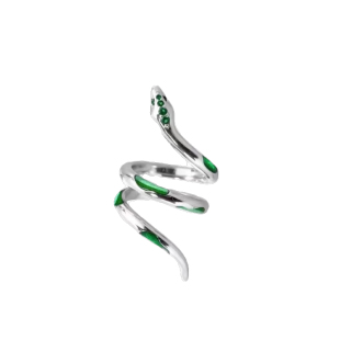 可调节开口蛇形戒指女小众设计配饰手环高级感潮酷夸张首饰品手镯