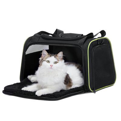 宠适PETSFIT猫包猫咪便携外出大空间航空宠物软包手提透气背包