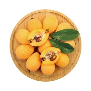 攀枝花米易甜枇杷早春枇杷米易大五星枇杷4.5斤60g特大果新鲜采摘