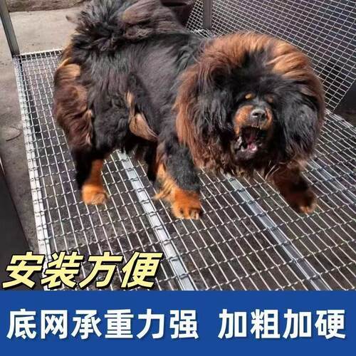 养猪网猪床漏粪网镀锌铁丝网漏粪板保育肥床网狗羊网围栏