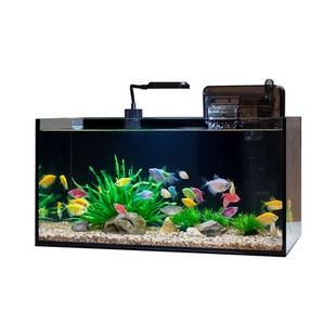 悠悠40全套鱼缸超白玻璃小型生态鱼缸客厅家用桌面自循环过滤鱼缸