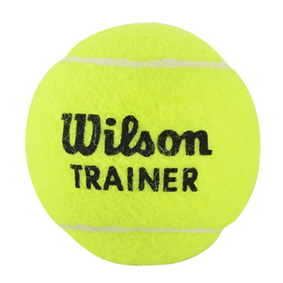 威尔胜训练网球品质好耐打