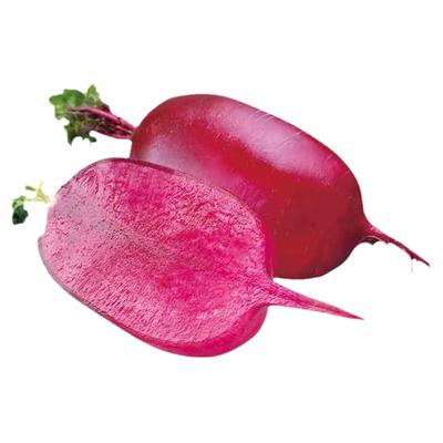 凤梨萝卜种子四季菜种红皮红肉