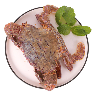 东山岛特大黑蟹膏钙蟹海鲜螃蟹冷冻母蟹冰鲜海捕青蟹梭子蟹三点蟹