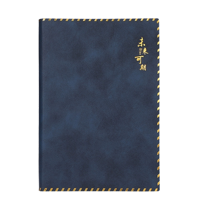 a6笔记本子便携记事本迷你口袋本
