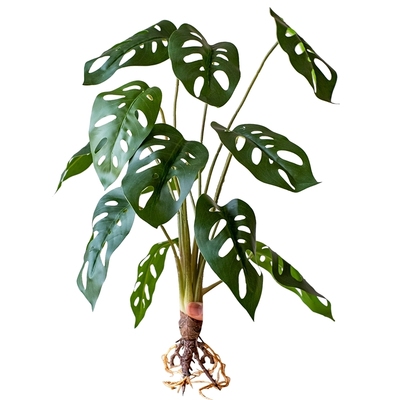 掬涵仿真花仙洞龟背叶绿植摆件