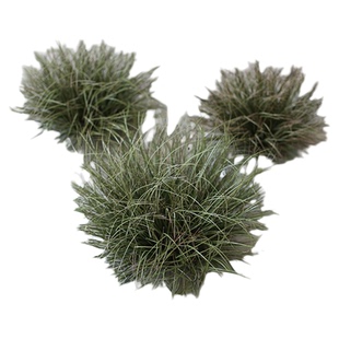 蒲草球仿真植物造景摆件店铺装饰假草堆景观芦苇草灌木草绿植园景