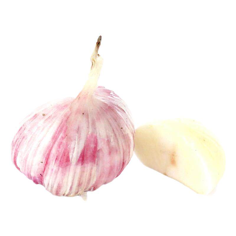 老一生鲜新鲜四川紫皮独头蒜大蒜