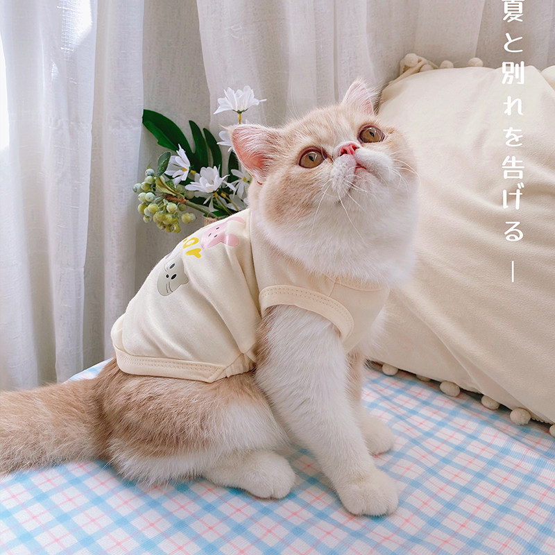 【PAPA喵】四个小动物猫咪衣服ins宠物服装猫猫衣服狗狗防掉毛秋