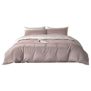 佳丽斯60支长绒棉纯棉四件套全棉2025新款床单主卧室轻奢四季通用