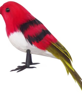 真羽毛仿真鸟园林家居装饰摆件