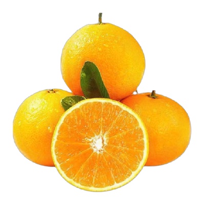 新鲜爱媛果冻橙橙子