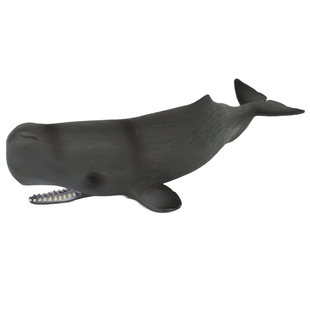 林畅儿童鲸鱼鲨鱼玩具海洋世界抹香鲸模型仿真动物套装大灰鲸白鲸