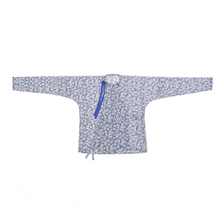 谜阿凰小兰花唐制圆领衫八破雪纺纱秋季女装国风汉服原创中国风