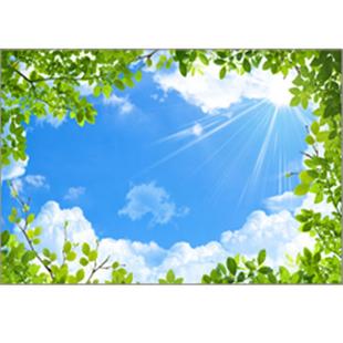 蓝天白云亚克力透光板吊顶玻璃走廊过道电梯轿厢天花顶板装饰灯板