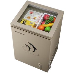 荣事达透视玻璃门小冰柜1级卧式